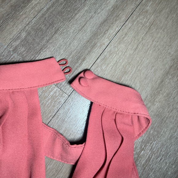 Express Pink Dress - Picture 8 of 8